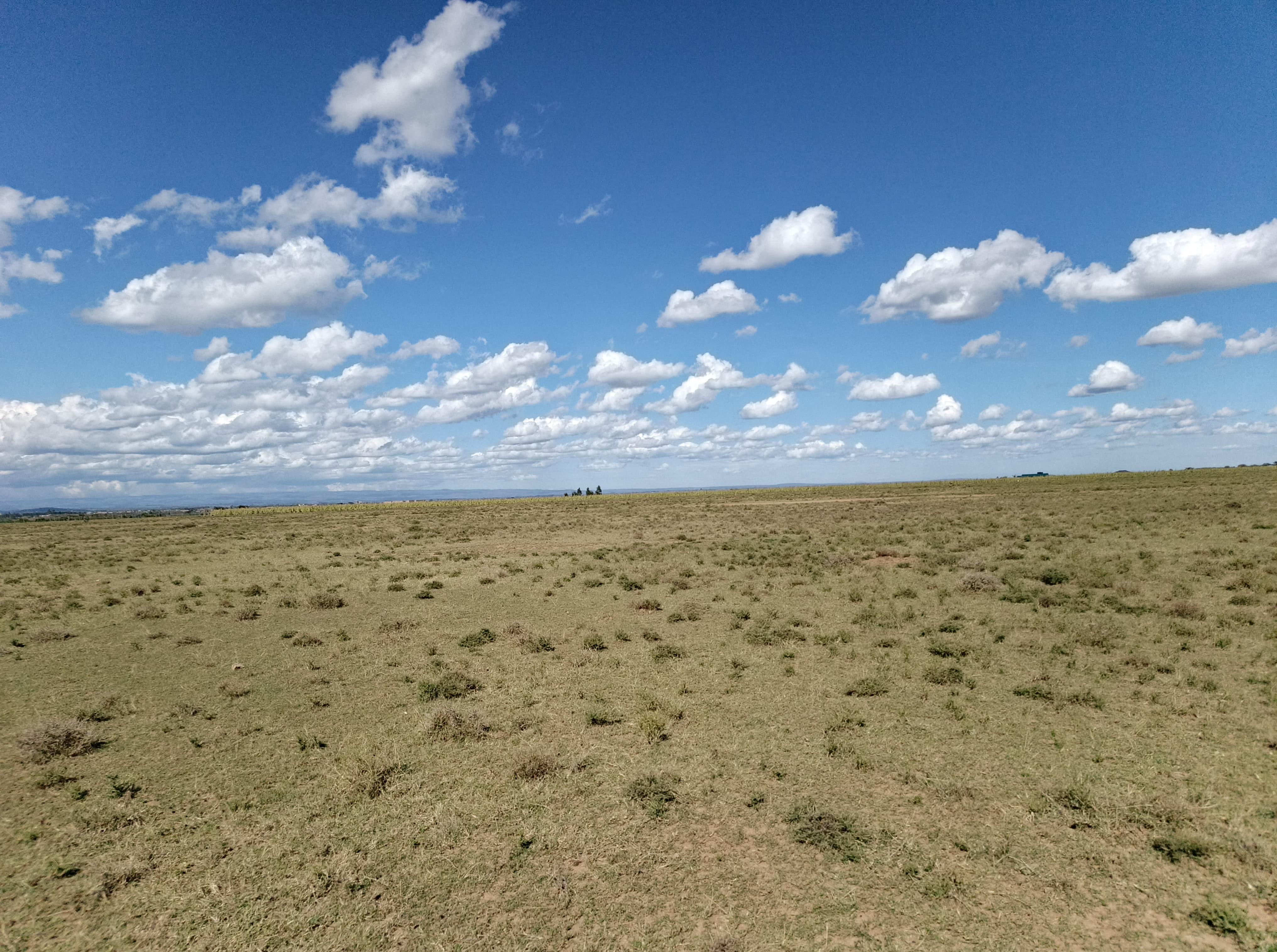 Narok Airstrip land thumbnail 3